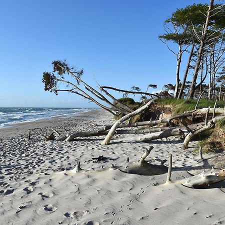 Strandhafer An Der Seebruecke Zingst Exterior photo