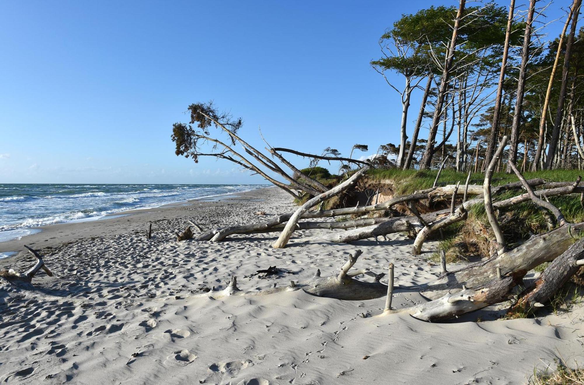 Strandhafer An Der Seebruecke Zingst Exterior photo