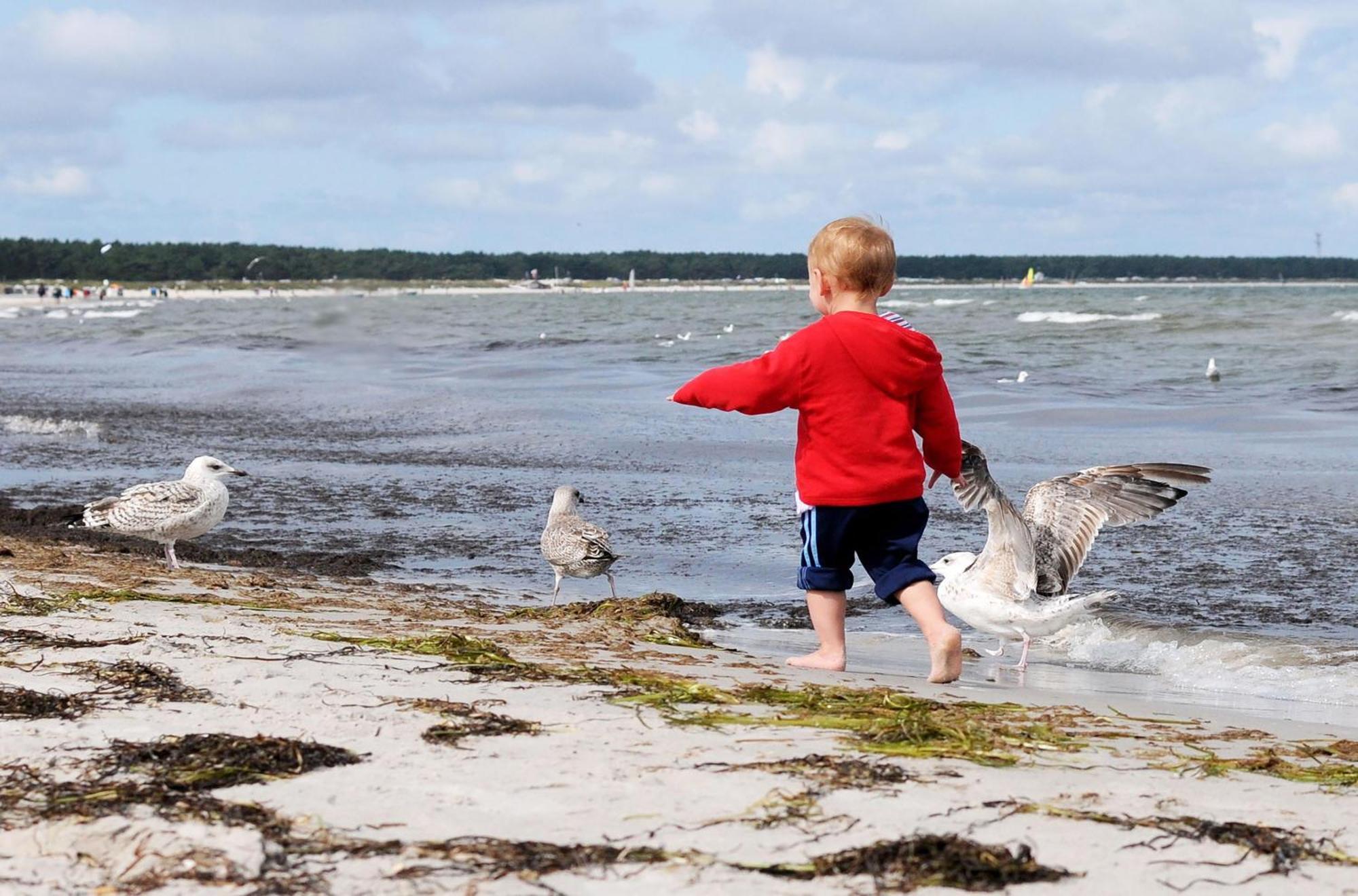 Strandhafer An Der Seebruecke Zingst Exterior photo